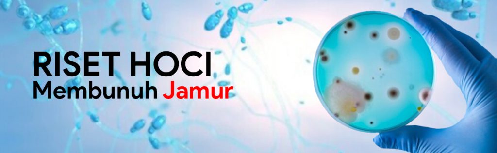 HOCl Membunuh Jamur Riset