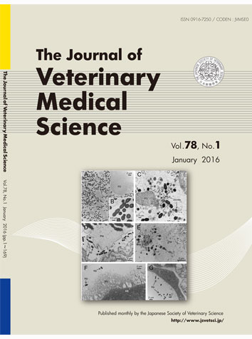 HOCl membunuh bakteri Salmonella spp Journal of Veterinary Medical Science